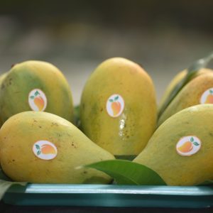 কাটিমন আম - ২৫ কেজি