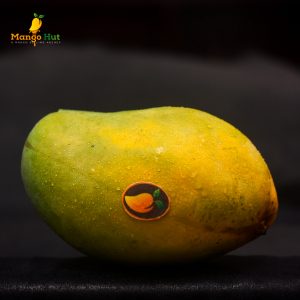 Bari 11 - বারি ১১ আম