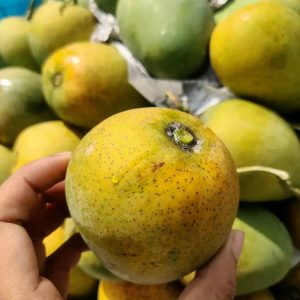 হিমসাগর আম