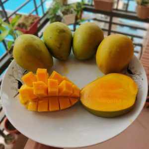 হাড়িভাঙ্গা আম