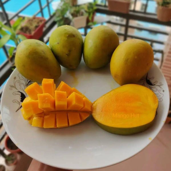 হাড়িভাঙ্গা আম