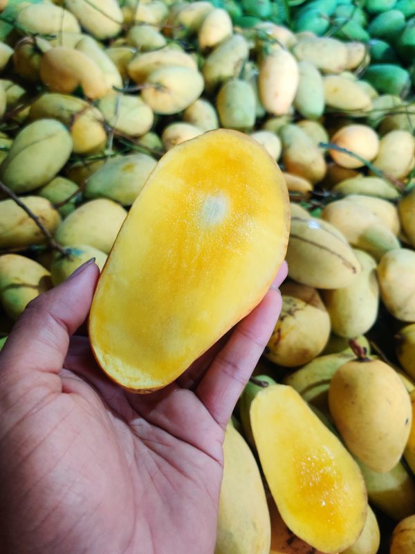 কাটিমন আম - ৬  কেজি